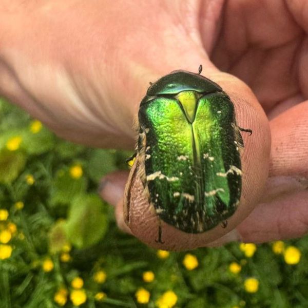 We’re going on a bug&nbsp;hunt