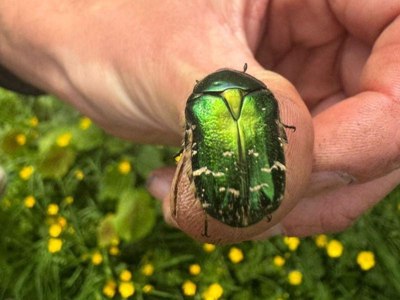 We’re going on a bug&nbsp;hunt